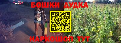 сатива Бузулук