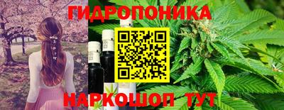 прущие грибы Кумертау