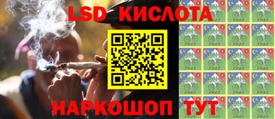 шишки Беслан