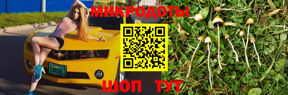 Псилоцибиновые грибы ЛСД  Гусиноозёрск  Псилоцибиновые грибы GOLDEN TEACHER 