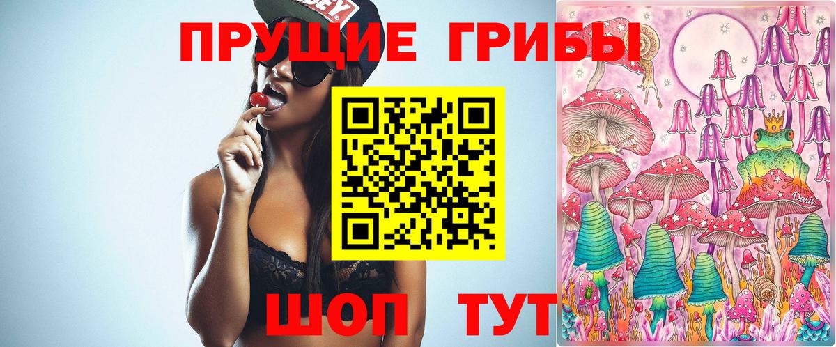 Галлюциногенные грибы мицелий  Вход с VPN  Гусиноозёрск 