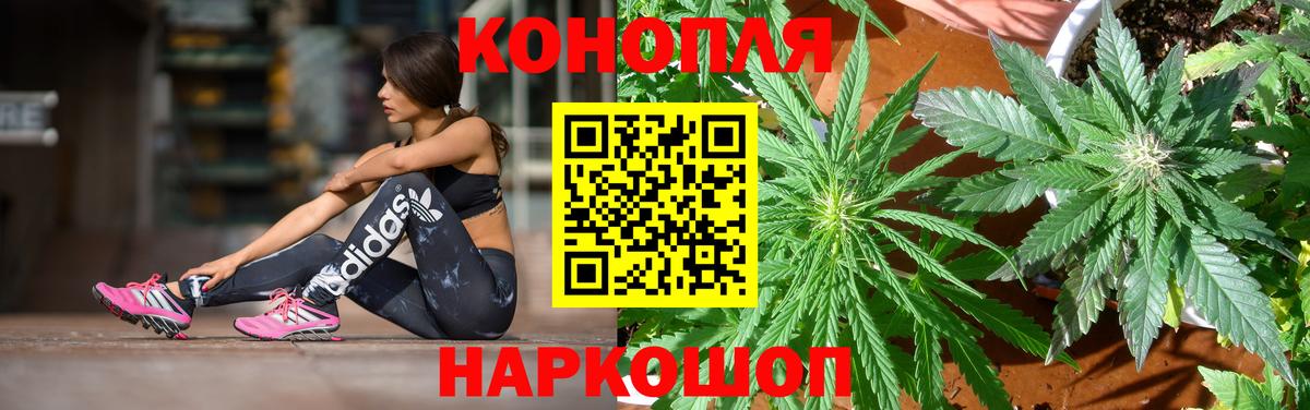 Канабис ГИДРОПОН Гусиноозёрск